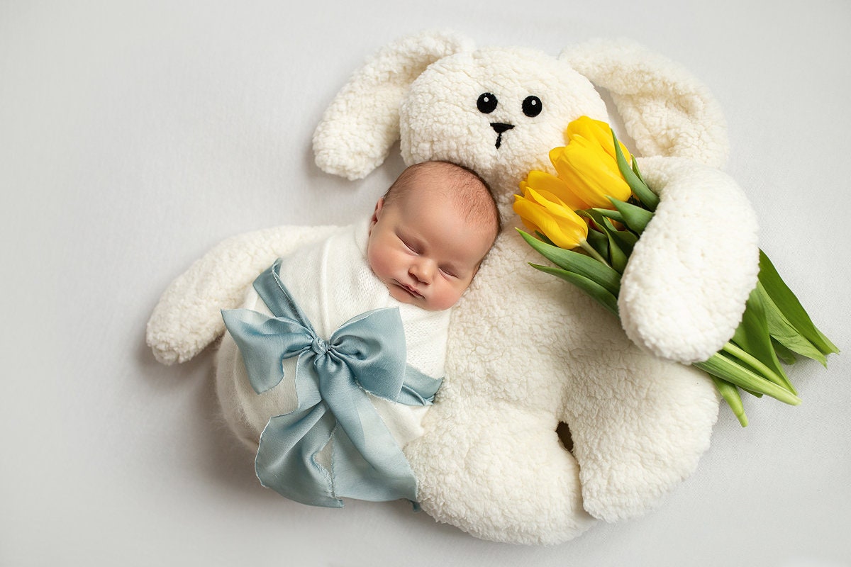 Posing toy for newborn photo shoots. Newborn Photography Props,Newborn Photo Props, Newborn baby gift,Pregnancy gift,Newborn Girl Outfit