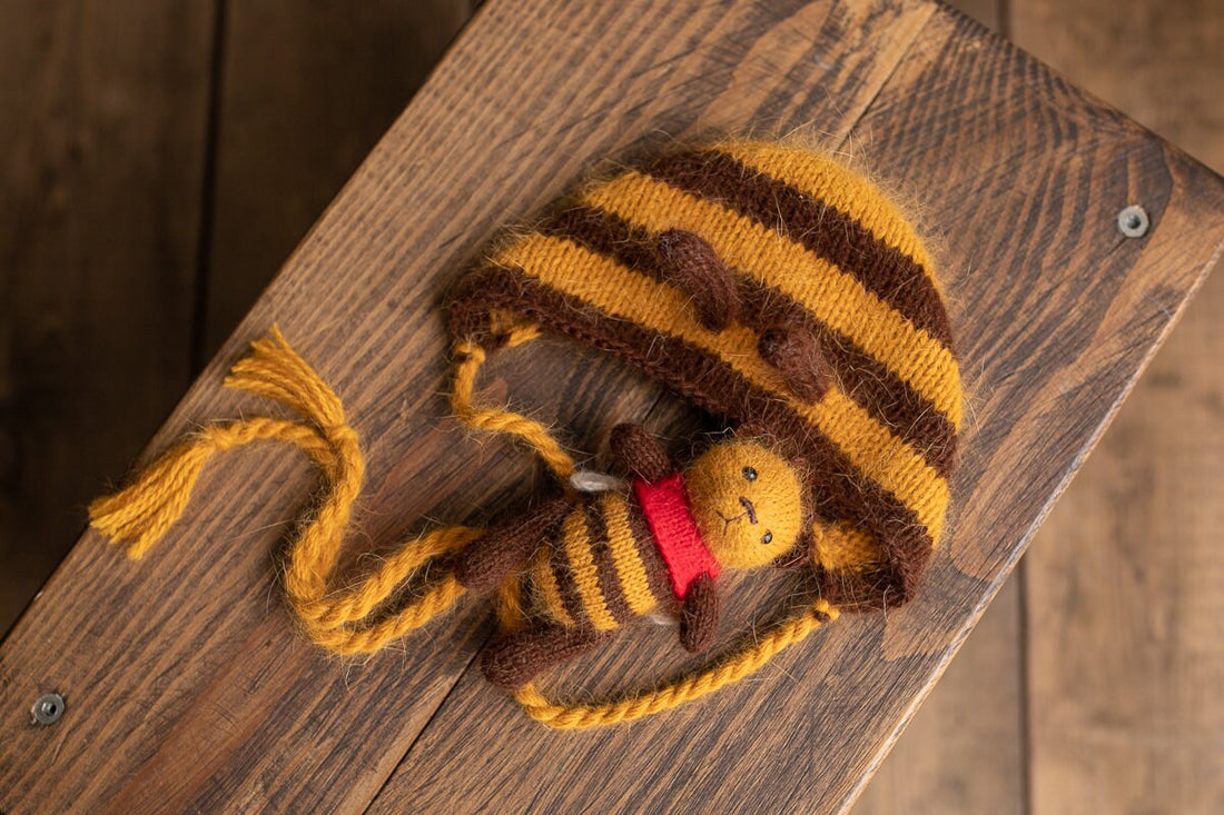 Knitted bee bonnet and toy newborn photography prop set for autumn photoshoot