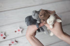 Newborn Knit Bunny Toy, Newborn Bunny toy,Newborn Photography Prop,Newborn Photo Props,Newborn Knit Rabbit Toy, Baby Bunny Crochet Toy, RTS!