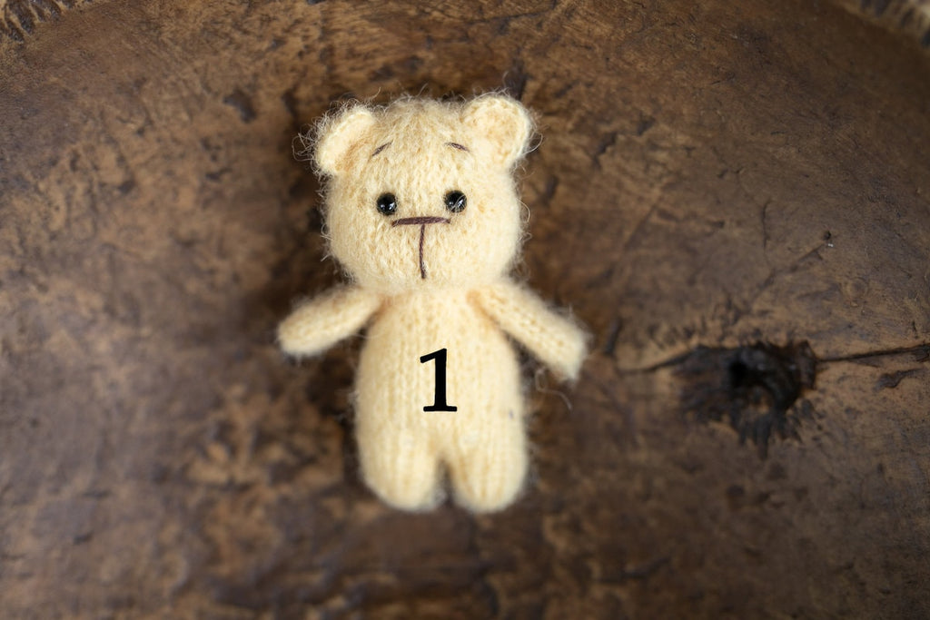 Newborn Knit Teddy Bear Outfit with Toy,Newborn Photography Props Set, Newborn Teddy Bear Outfit, Newborn Photo Props,Baby Bear Crochet Toy