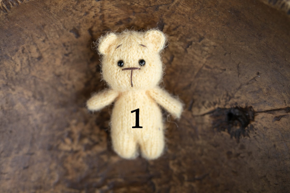 Newborn Knit Teddy Bear Outfit with Toy,Newborn Photography Props Set, Newborn Teddy Bear Outfit, Newborn Photo Props,Baby Bear Crochet Toy