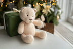 Newborn Knit Teddy Bear Outfit with Toy,Big Knitted Teddy Bear Toys, Newborn Teddy Bear Outfit, Newborn Photo Props,Baby Bear Crochet Toy